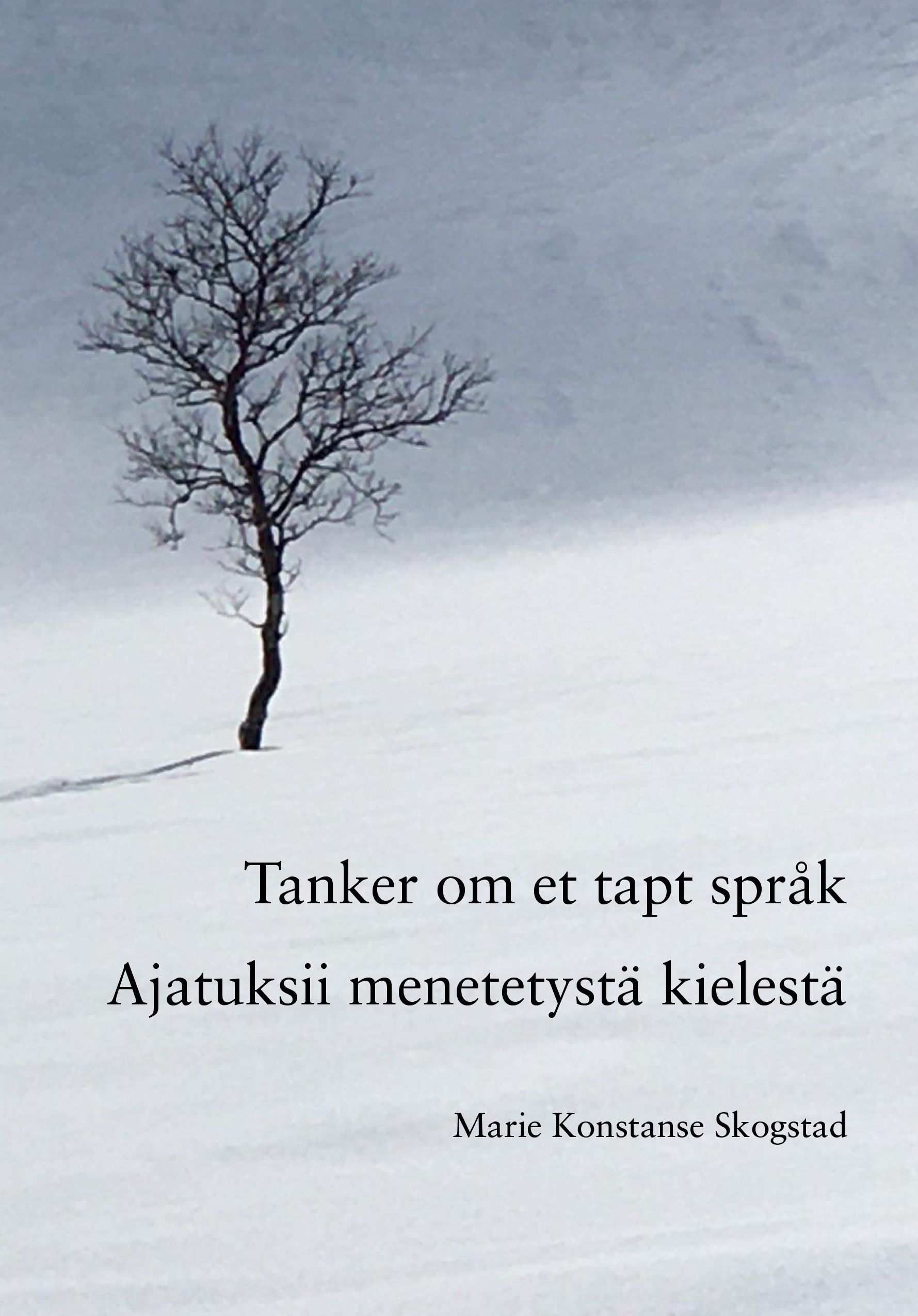 Tanker om et tapt språk