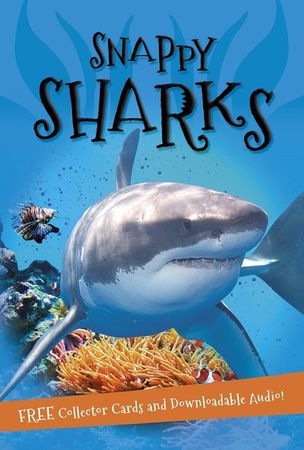 Snappy sharks