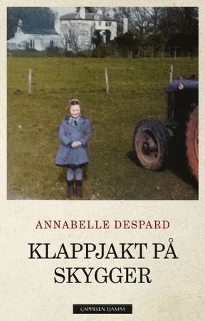 Klappjakt på skygger