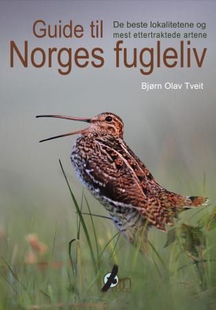 Guide til Norges fugleliv