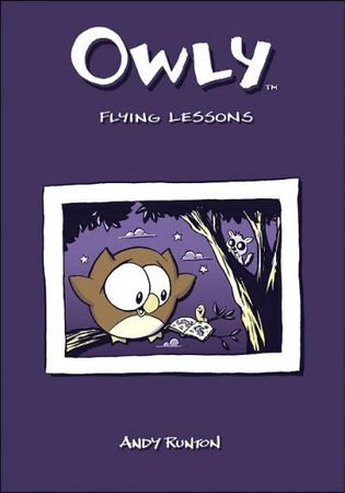 Flying lessons