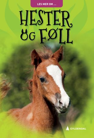 Horses and foals