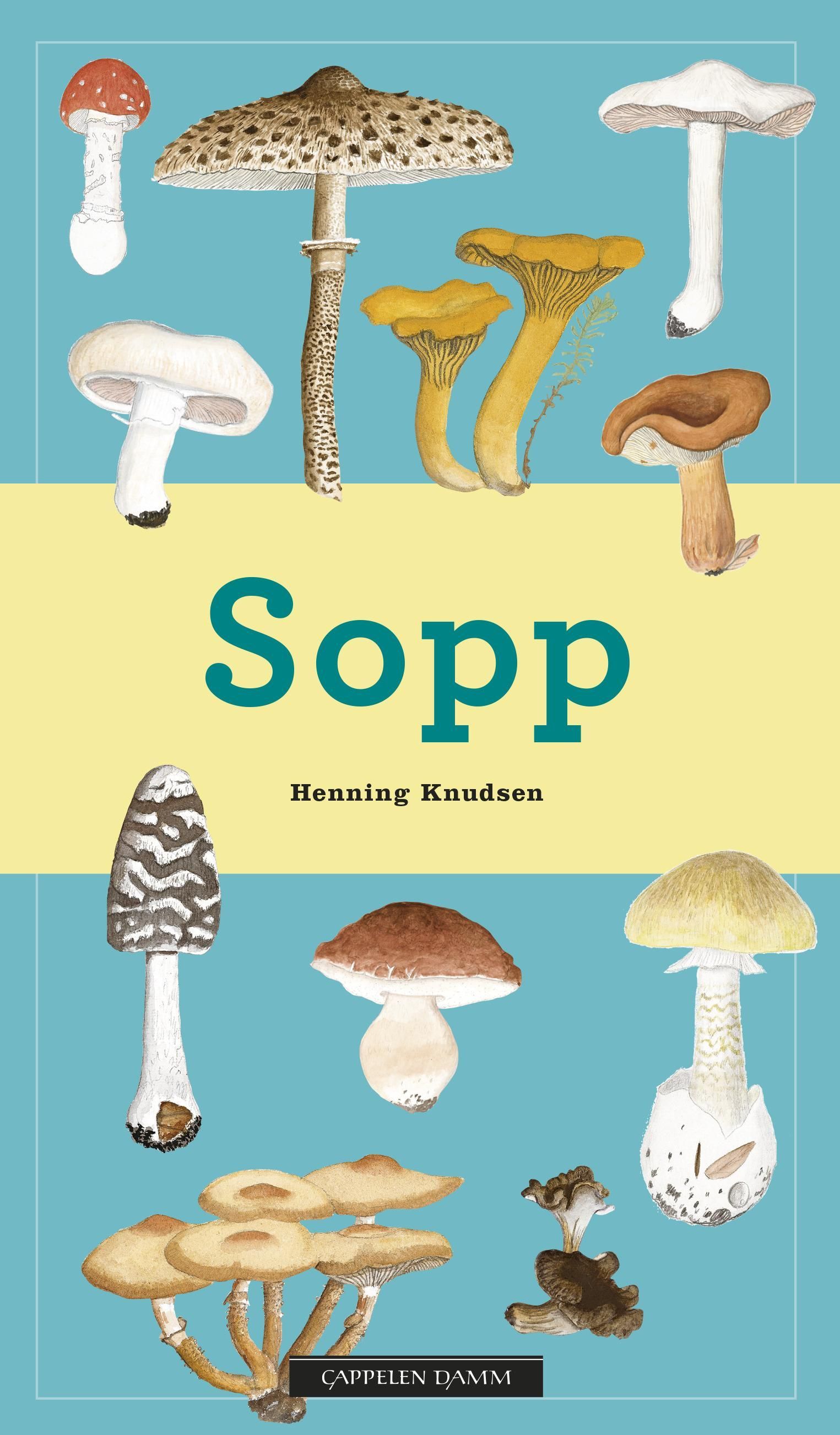 Svampe i farver