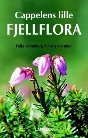 Våra vanligste fjällväxter