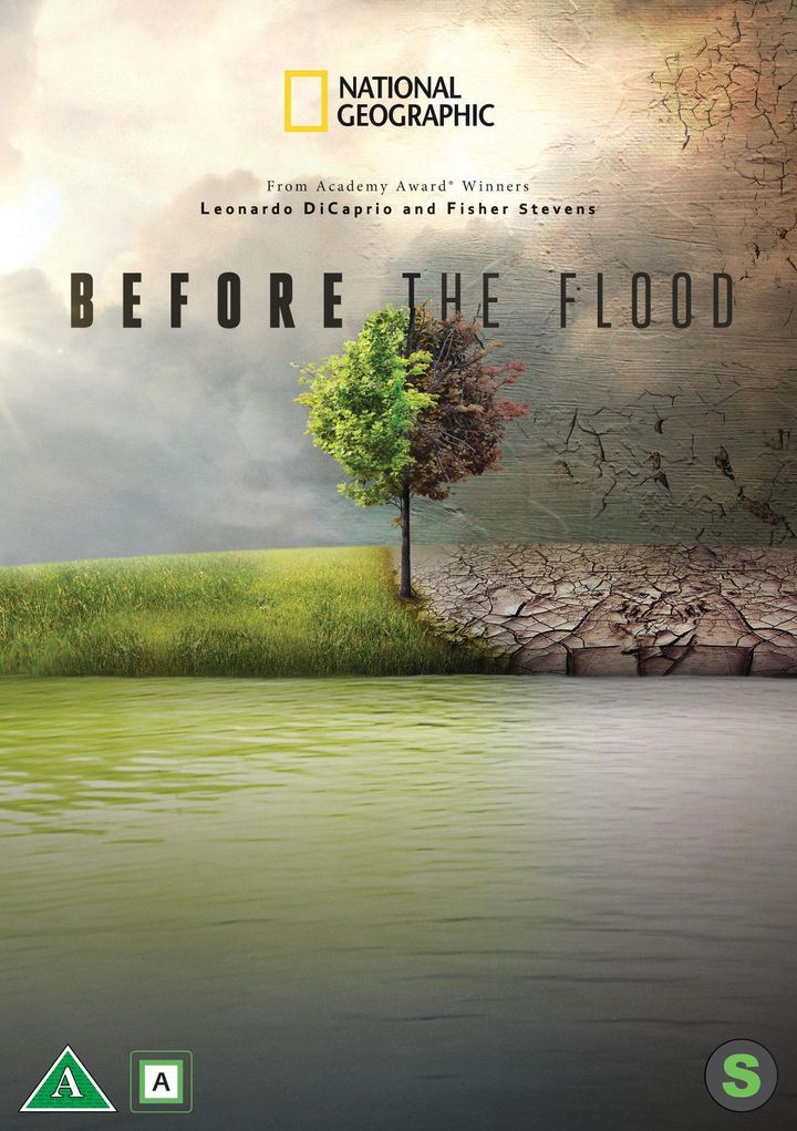 Before the flood