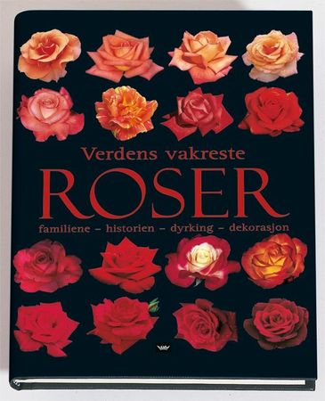 Ultimate rose