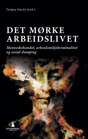 Det Mørke arbeidslivet
