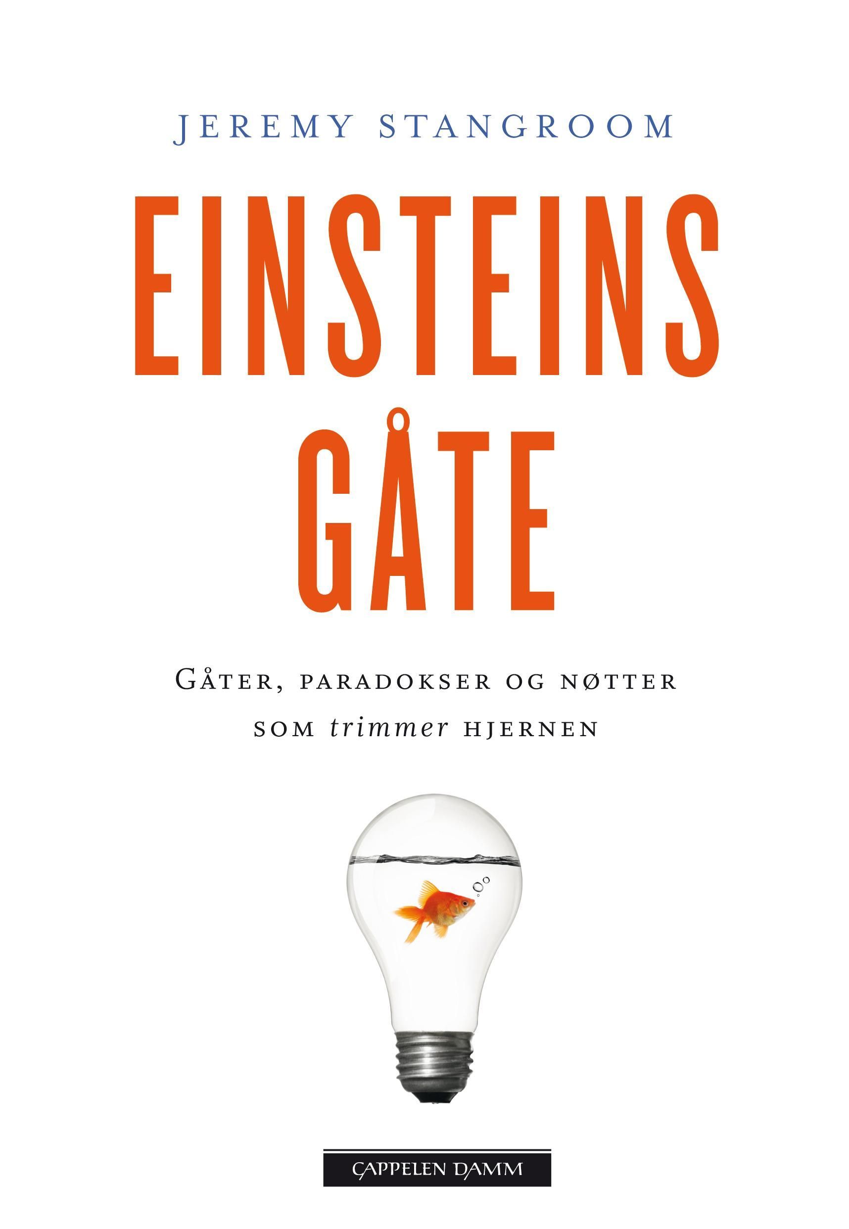 Einstein's riddle
