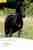 Black Beauty