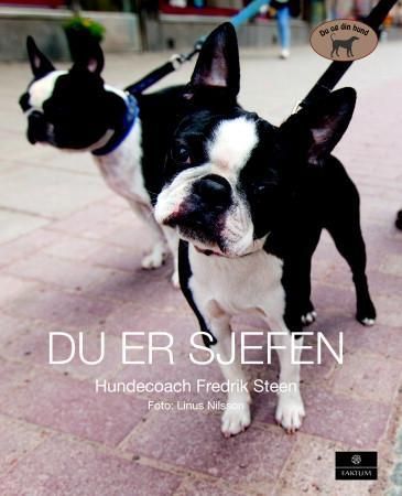 Bli din hunds ledare