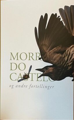 Morro do Castelo og andre fortellinger