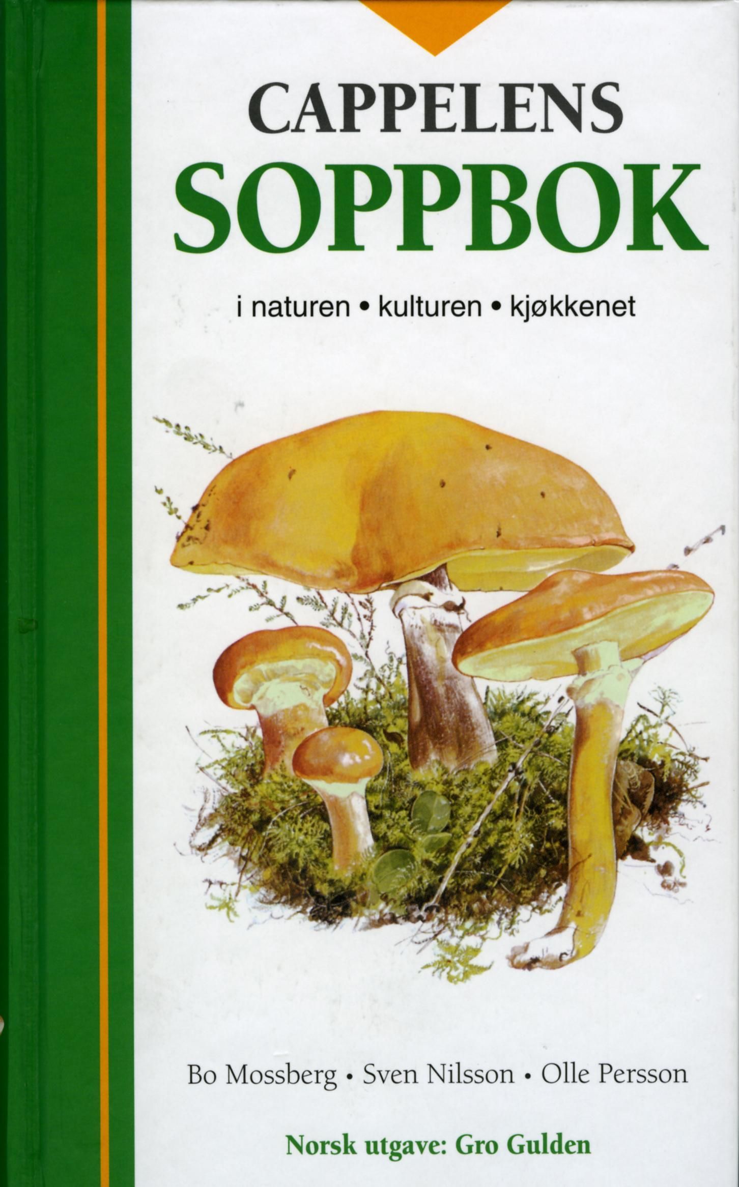 Svampar i naturen