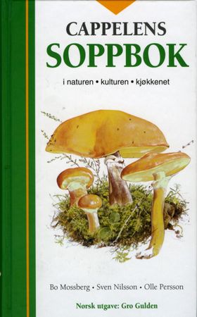 Svampar i naturen