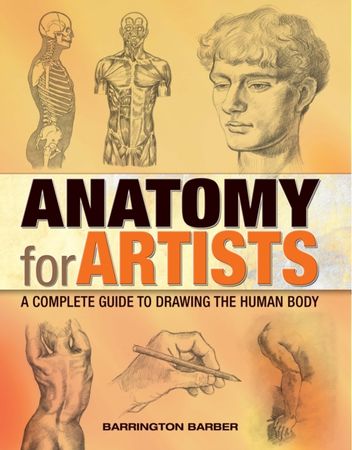 Anatomy for artists
