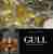 Gull