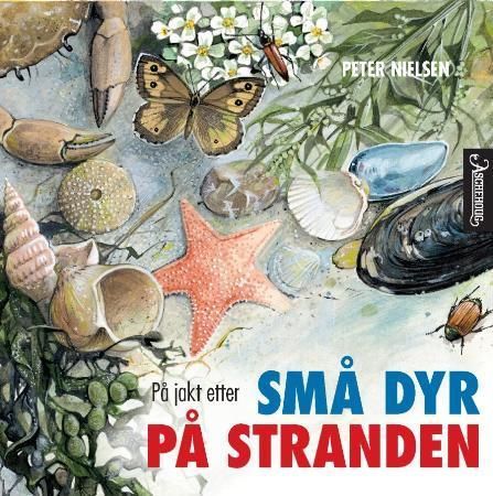 På jagt efter små dyr på stranden