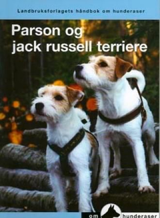 De Jack Russell terrier