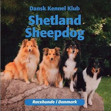 Shetland sheepdog