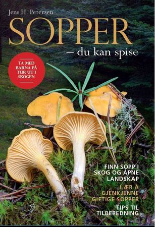 Svampe - du kan spise