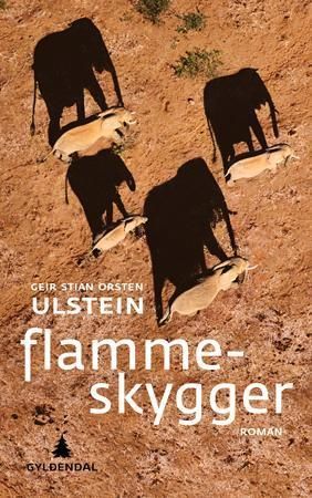 Flammeskygger
