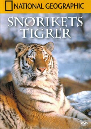 Tigers of the snow