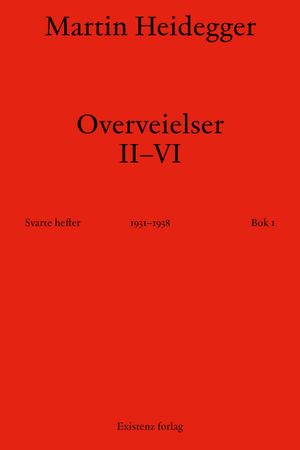 Überlegungen. II-VI