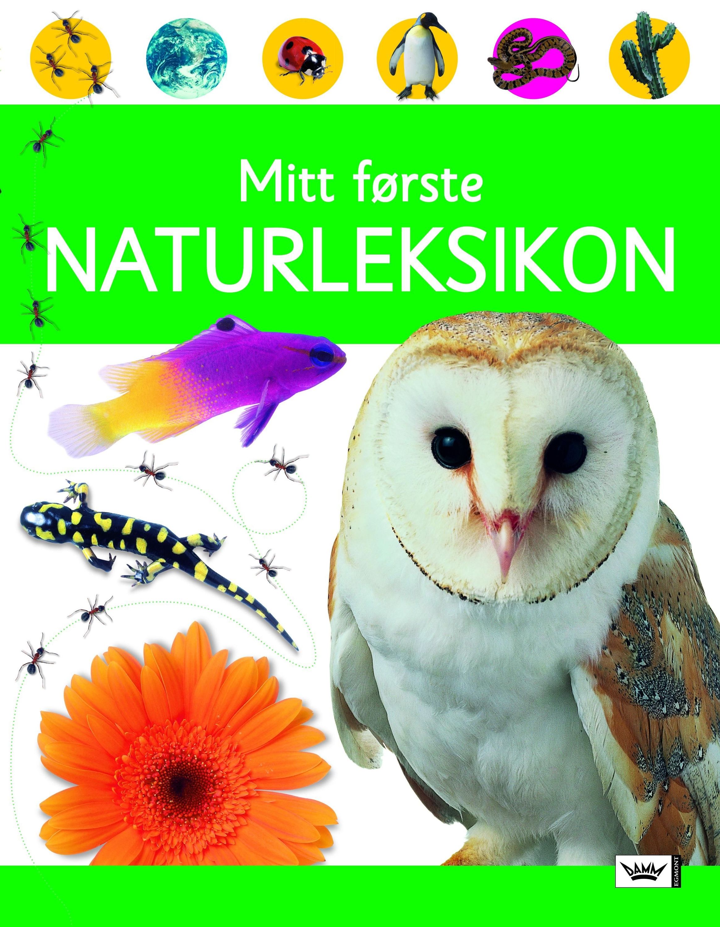 Nature encyclopedia