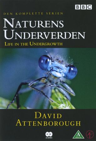 Life in the undergrowth