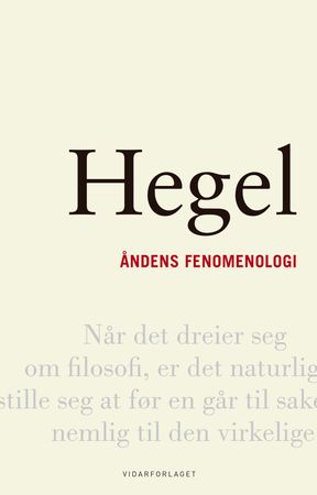 Phänomenologie des Geistes