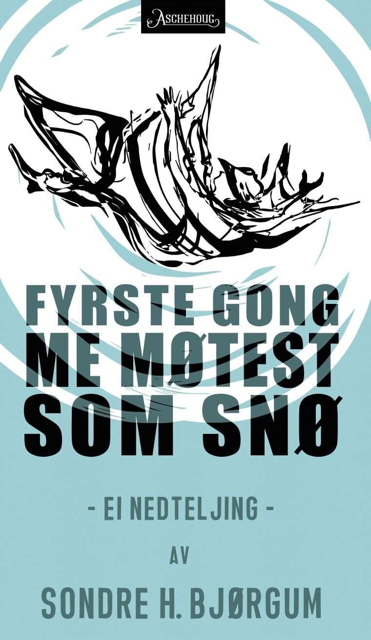 Fyrste gong me møtes som snø