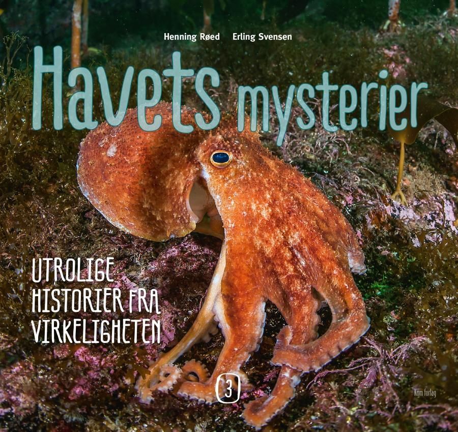 Havets mysterier. 3