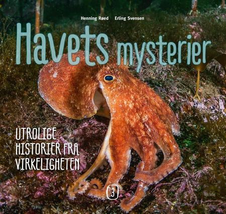 Havets mysterier. 3