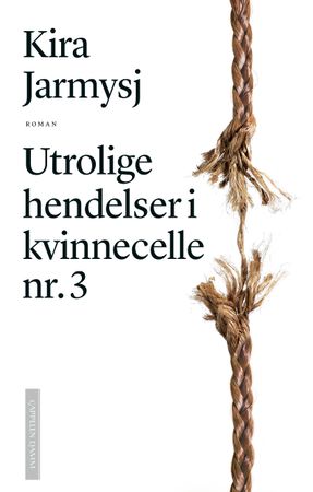 Neverojatnyje proisjestvija v zjenskoj kamere no 3