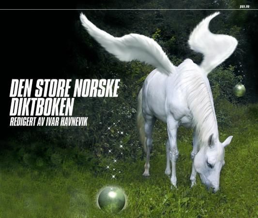 Den Store norske diktboken