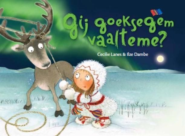 Jakten på nordlyset