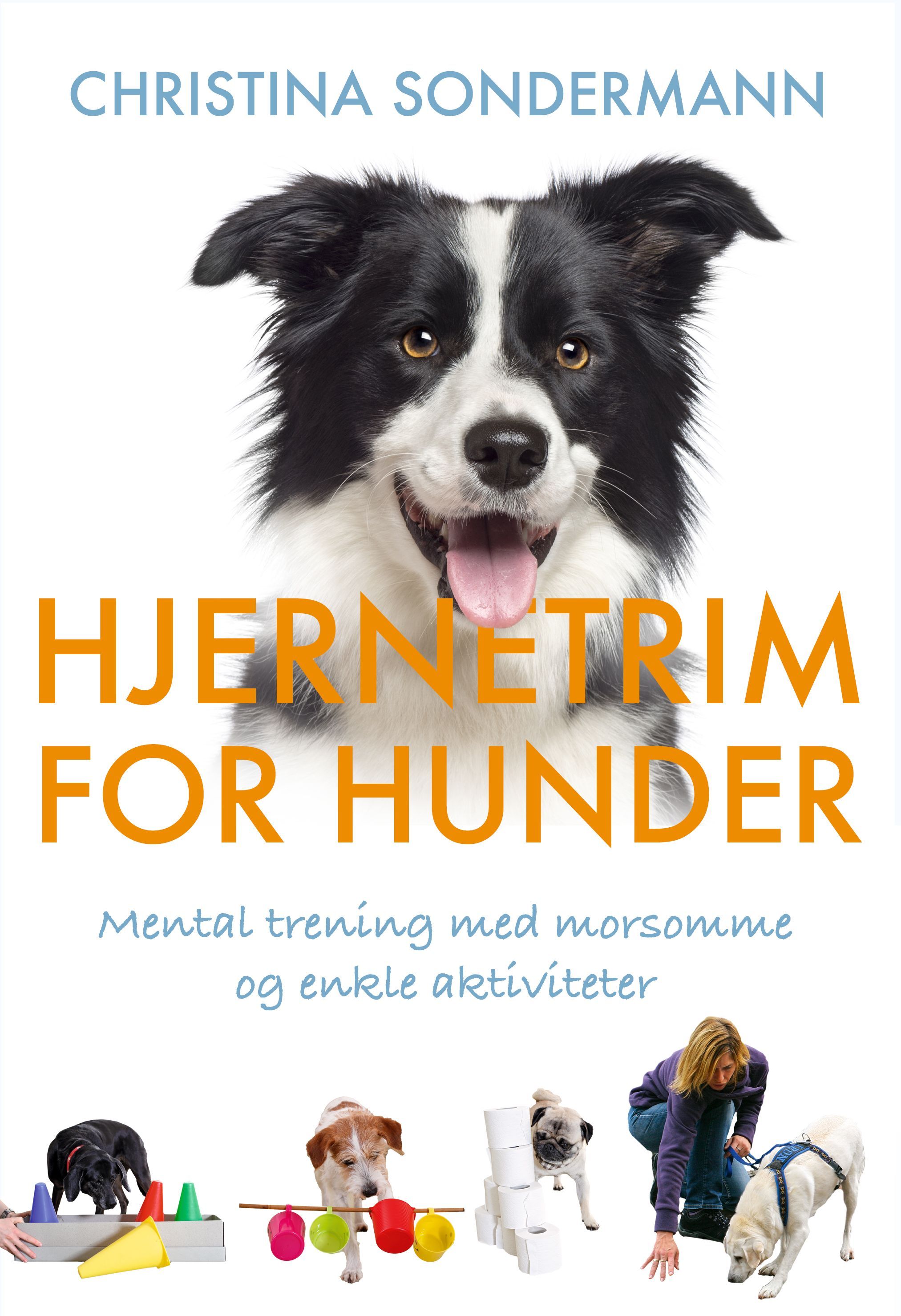 Denksport für Hunde