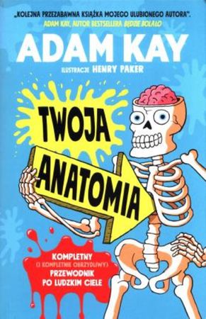 Kay's anatomy