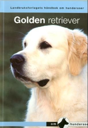 De Golden retriever