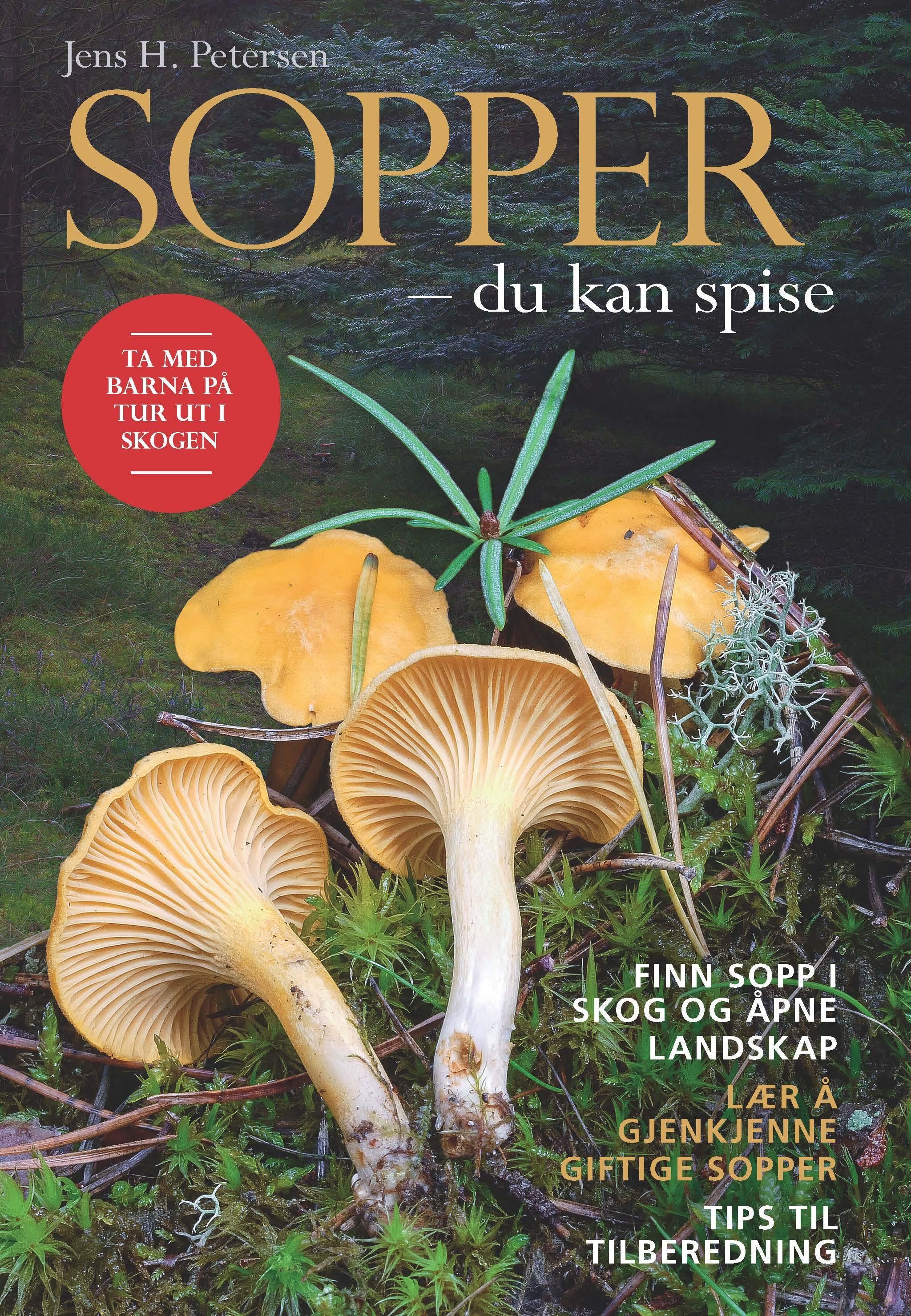 Svampe - du kan spise
