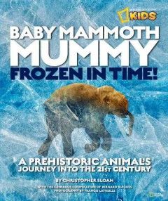 Baby mammoth mummy