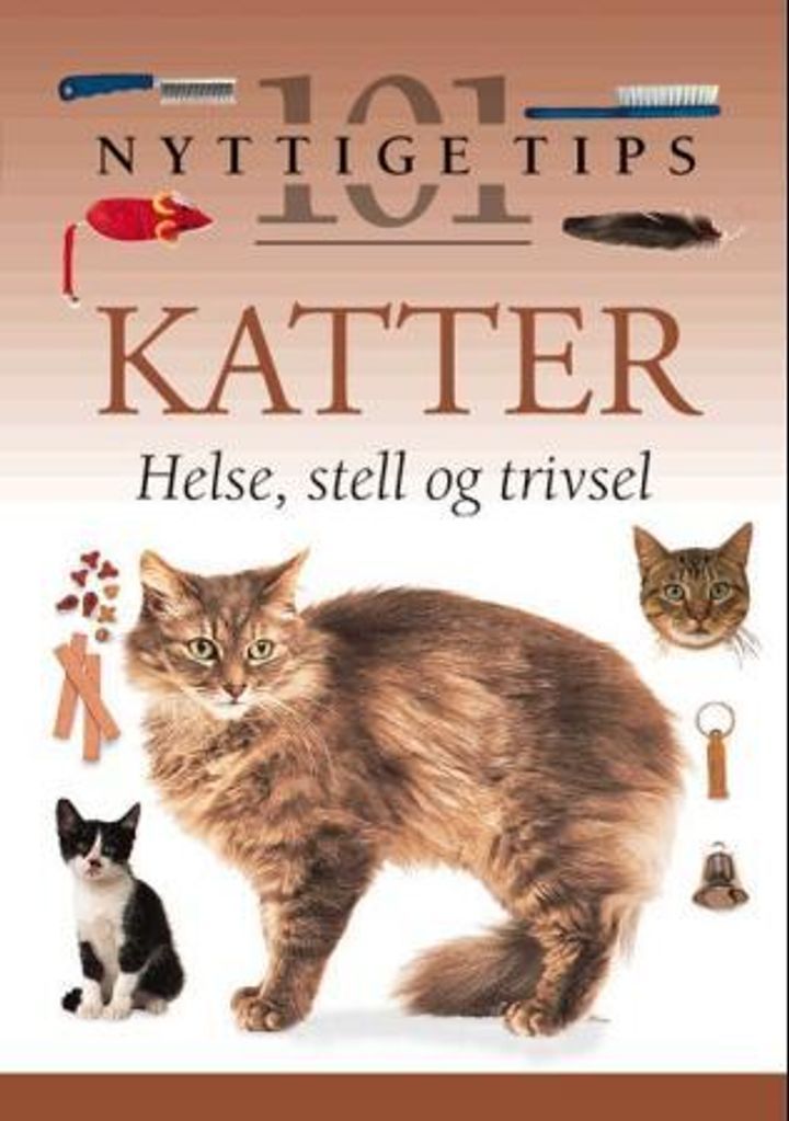 Caring for your cat