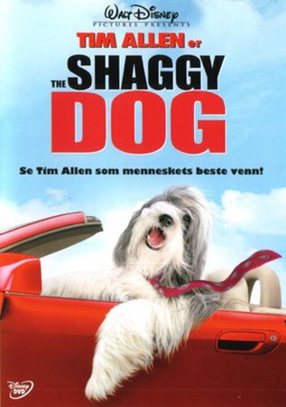 The Shaggy dog