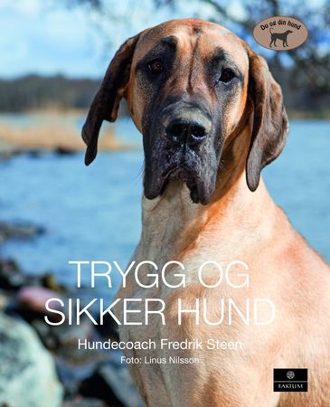 Trygg och säker hund