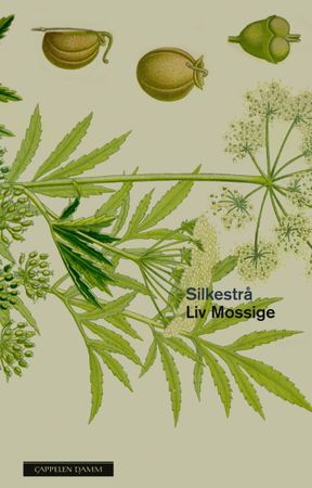 Silkestrå