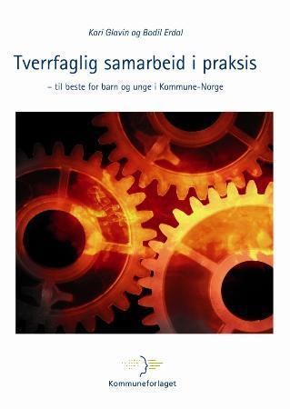 Tverrfaglig samarbeid i praksis