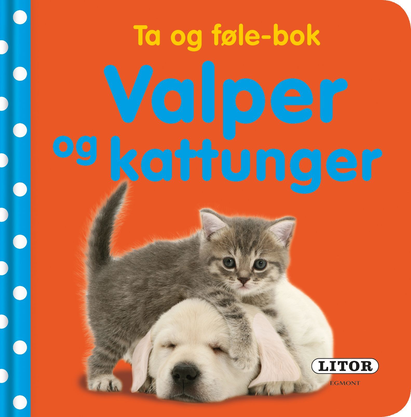 Puppies and kittens