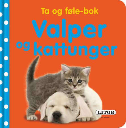 Puppies and kittens