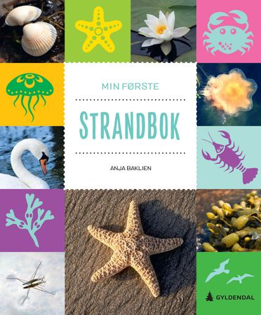Min första strandkantbok