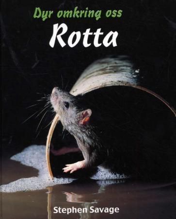 Rat