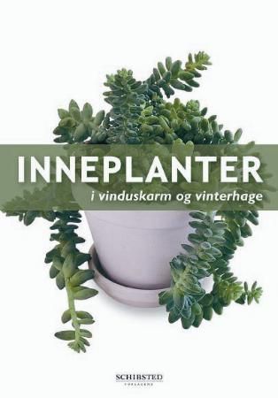 Indoor plants